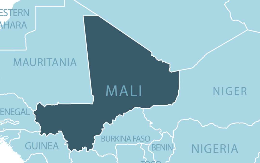 Snapshot: Mali